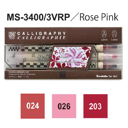 ZIG Memory System Calligraphy (MS-3400/3V**, 24V)