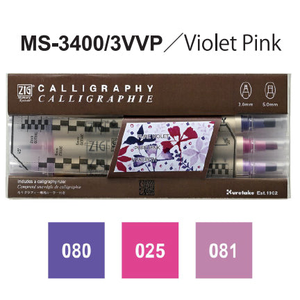 ZIG Memory System Calligraphy (MS-3400/3V**, 24V)