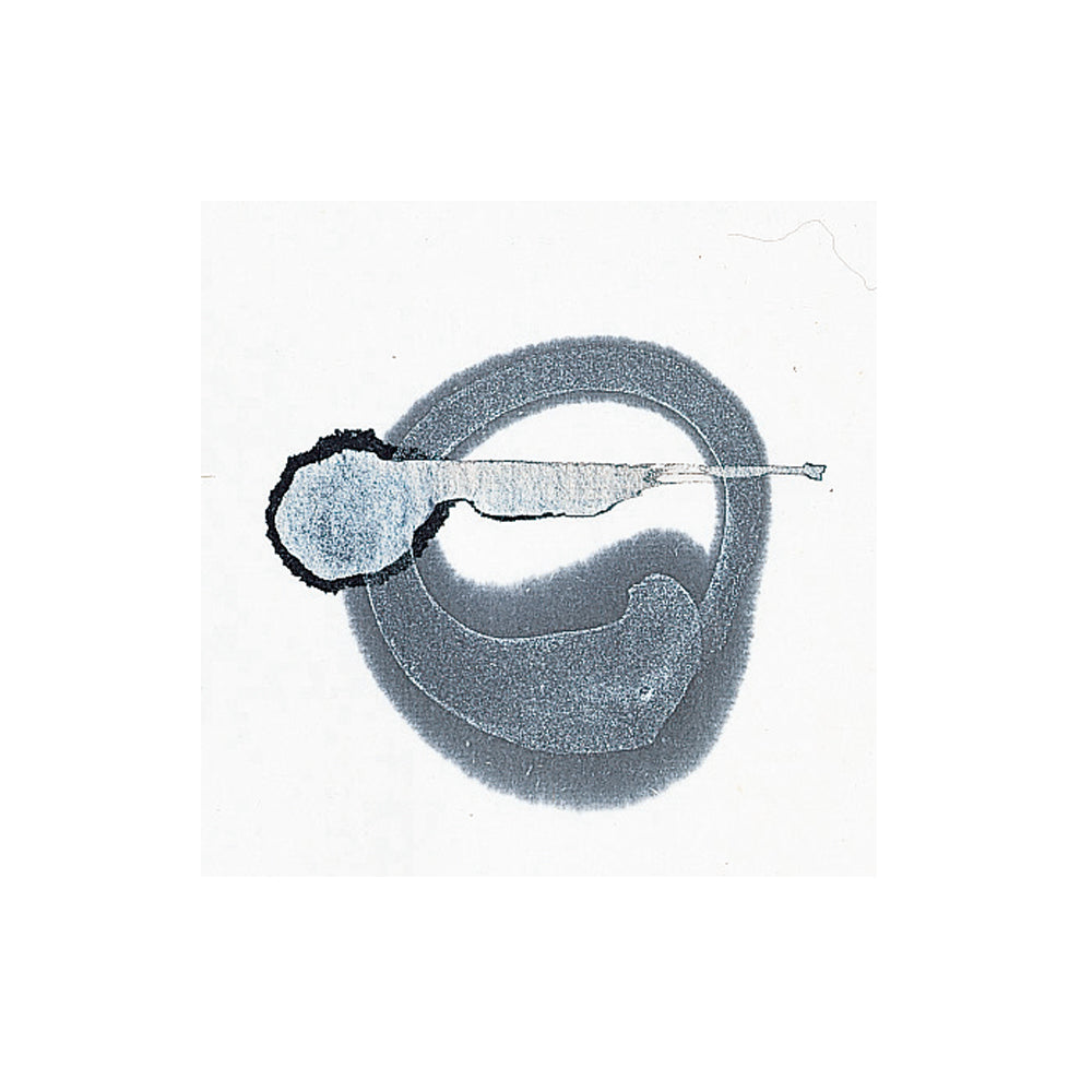 Metallic Calligraphy Ink, Silver 50ml (BB102-5)