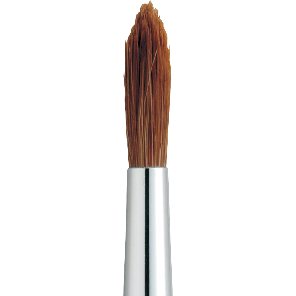 Horse hair paint brush
