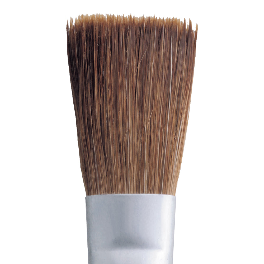 Horse hair paint brush