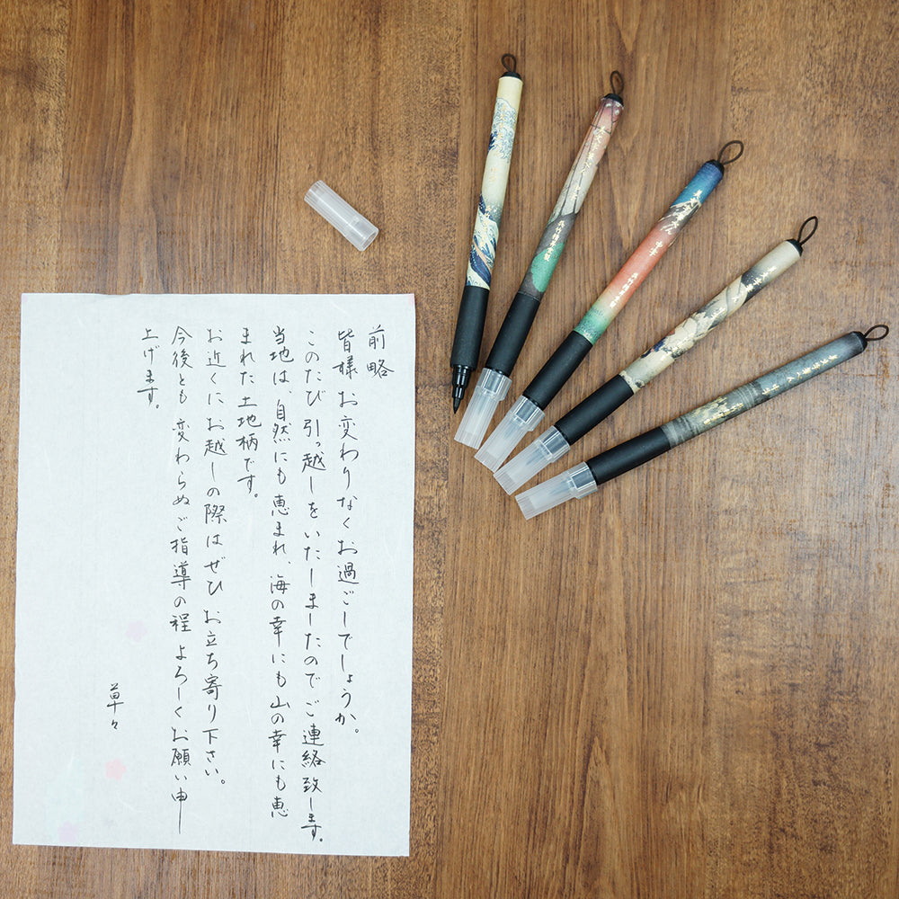 Fine Brush Pen Japanese Patterns V (Kabara Night Snow) Medium Tip (XTWM3-20)