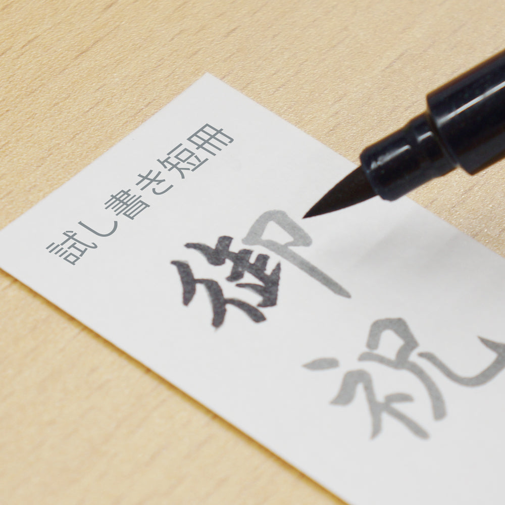 Kuretake Noshibukuro Brush Pen, Black Ink (DBD161-10S)