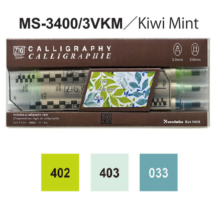 ZIG Memory System Calligraphy (MS-3400/3V**, 24V)