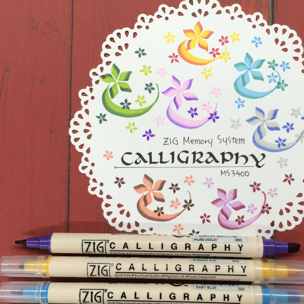 ZIG Memory System Calligraphy (MS-3400/3V**, 24V)