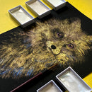 顔彩耽美 オパールカラーズ (6色セット/単品)