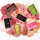 呉竹 顔彩耽美 単品