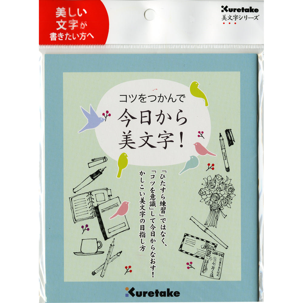 Master the Art of Beautiful Handwriting Today! Text (DAW100-6)