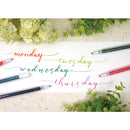 からっぽペン  ほそふで芯  (ECF160-402)