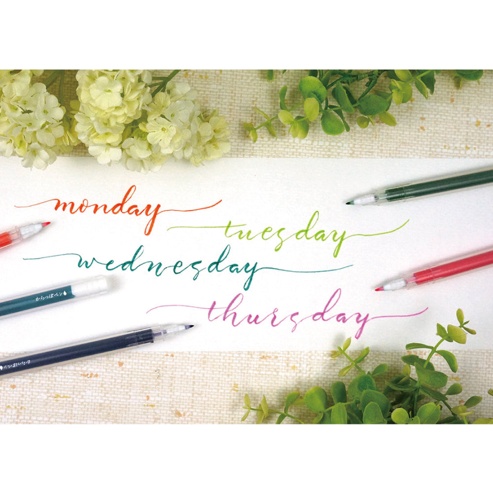 Empty Pen, Fine Brush Tip, Set of 5 (ECF160-452)