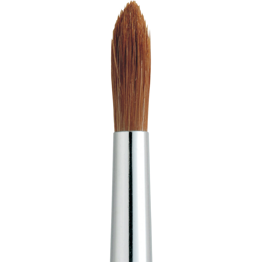 Horse hair paint brush