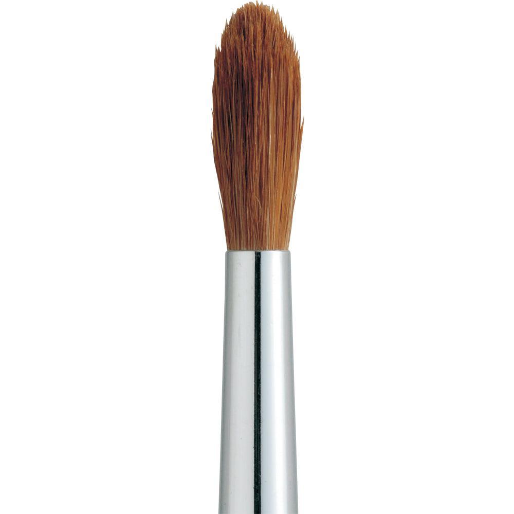 Horse hair paint brush