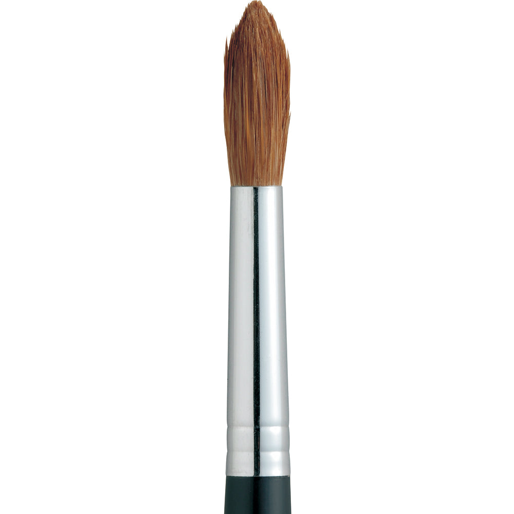 Horse hair paint brush