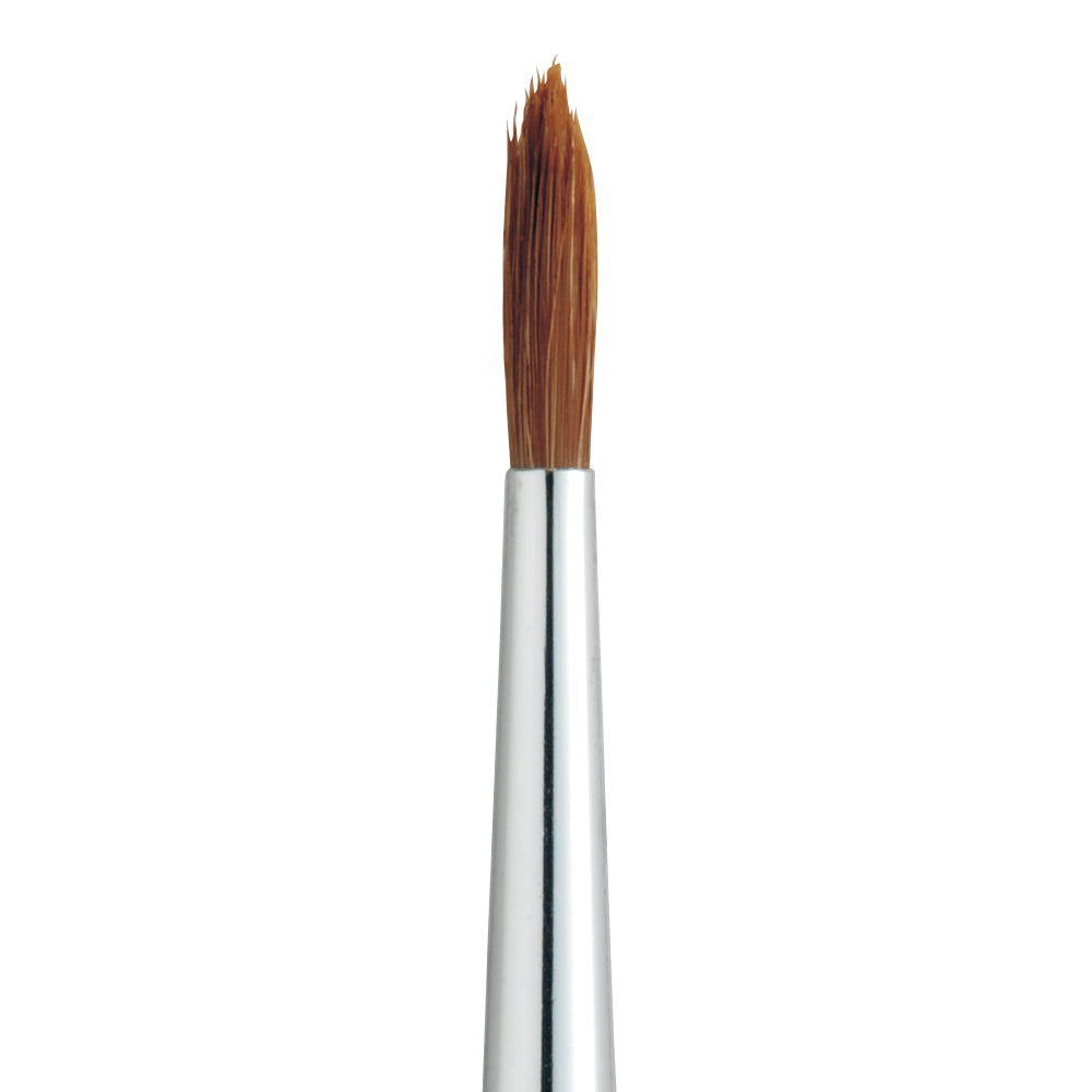 Horse hair paint brush