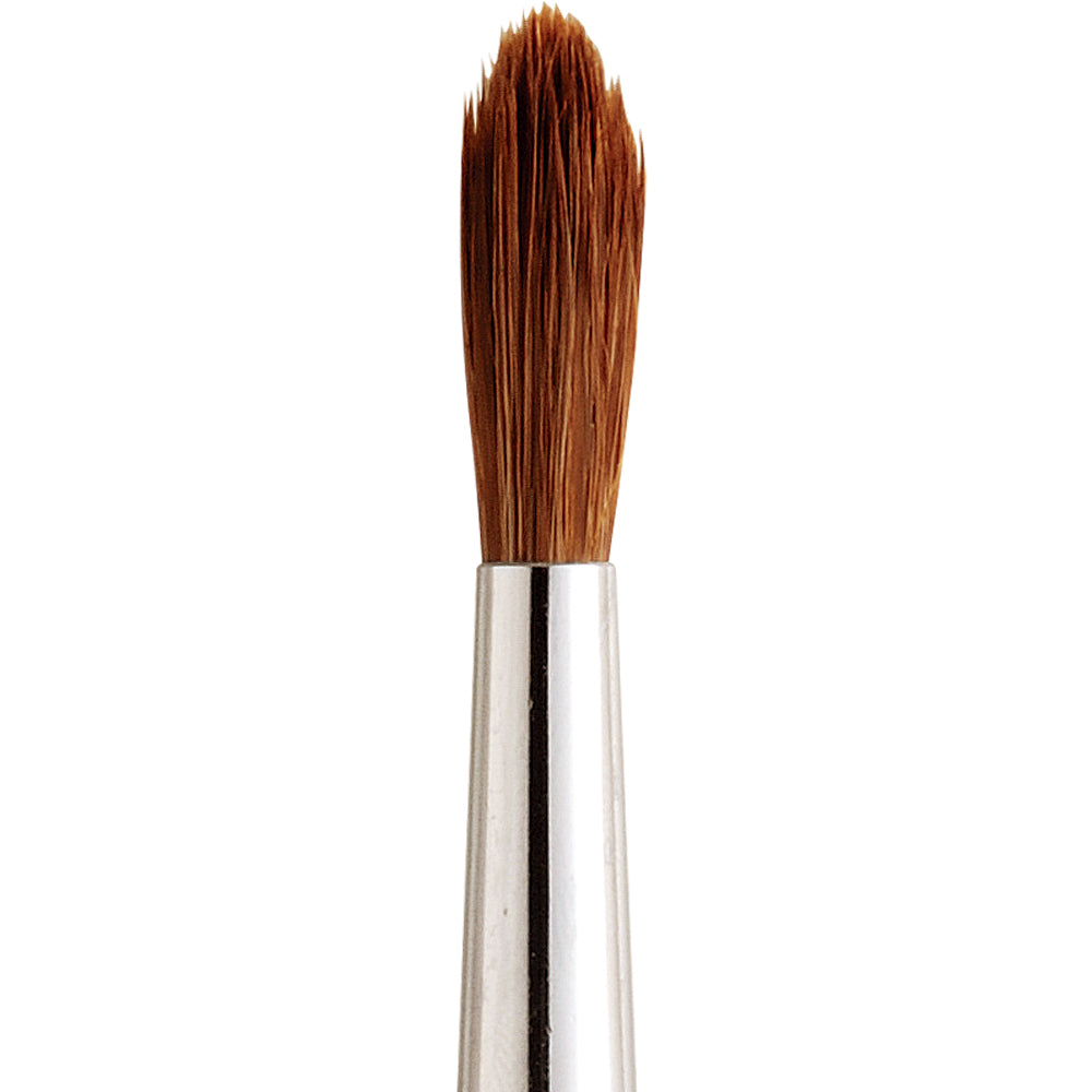 Horse hair paint brush