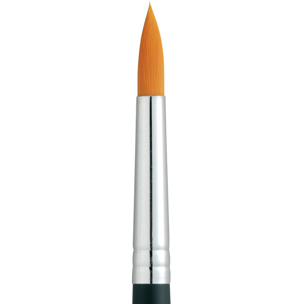 Nylon paint brush