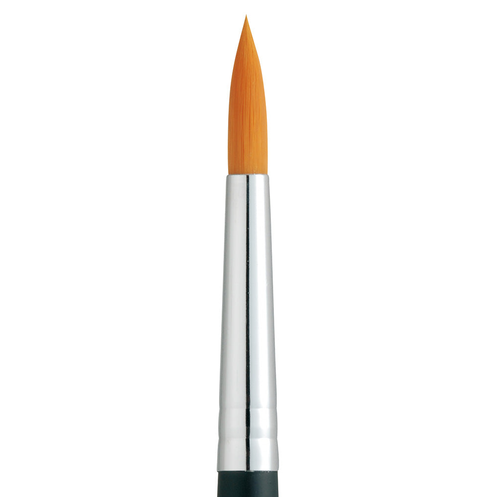 Nylon paint brush