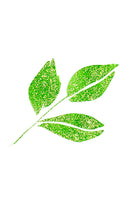 ZIG メモリーシステム ウインク オブ ステラ ブラッシュ Ⅱ GL.GREEN (DAI151-040S)