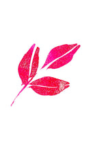 ZIG メモリーシステム ウインク オブ ステラ ブラッシュ Ⅱ GL.PINK (DAI151-021S)