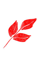 ZIG メモリーシステム ウインク オブ ステラ ブラッシュ Ⅱ GL.RED (DAI151-020S)