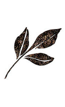 ZIG メモリーシステム ウインク オブ ステラ ブラッシュ Ⅱ GL.BLACK (DAI151-010S)