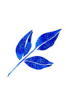 ZIG メモリーシステム ウインク オブ ステラ ブラッシュ Ⅱ GL.BLUE (DAI151-030S)