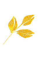 ZIG メモリーシステム ウインク オブ ステラ ブラッシュ Ⅱ GL.GOLD (DAI151-101S)