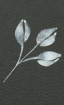 ZIG メモリーシステム ウインク オブ ステラ ブラッシュ Ⅱ GL.WHITE (DAI151-000S)