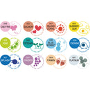 ZIG クリーンカラードット 12色セット  (TC-6100/12V)