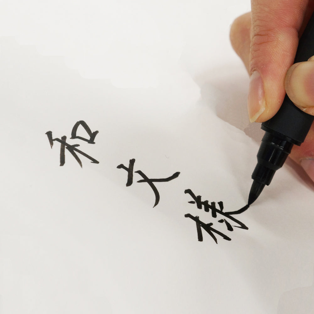 Fine Brush Pen Japanese Patterns V (Kabara Night Snow) Medium Tip (XTWM3-20)