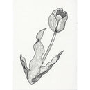 ZIG Cartoonist MANGAKA 003 ブラック (CNM-003-010)