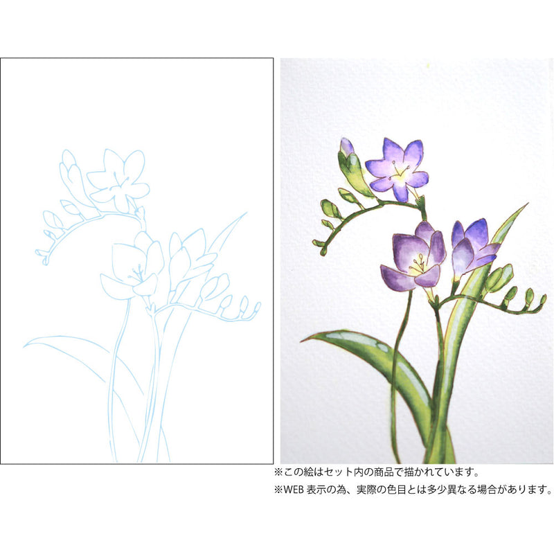 水彩イラスト 花の描き方レッスン グラデーション (EW-2)