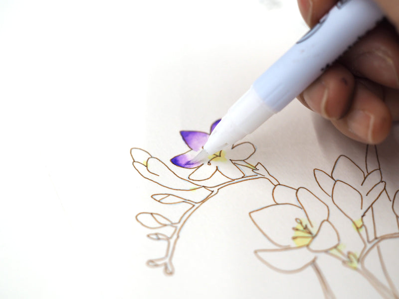 水彩イラスト 花の描き方レッスン グラデーション (EW-2)
